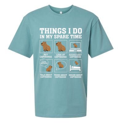 Things I Do In My Spare Time Capybara Funny Capybaras Rodent  Sueded Cloud Jersey T-Shirt