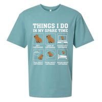 Things I Do In My Spare Time Capybara Funny Capybaras Rodent  Sueded Cloud Jersey T-Shirt