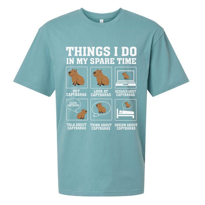 Things I Do In My Spare Time Capybara Funny Capybaras Rodent  Sueded Cloud Jersey T-Shirt