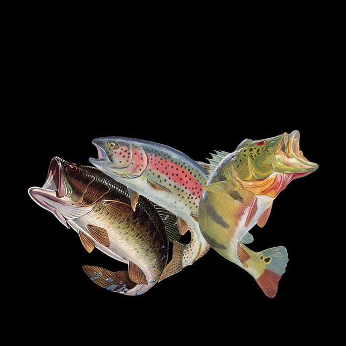 Thing I Do In My Spare Time Fishing Funny Mug