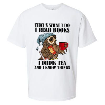 Thats I Do I Read Books Drink Tea And Know Things Funny Owl Sueded Cloud Jersey T-Shirt