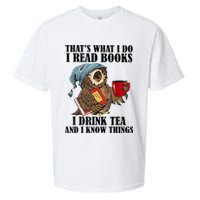 Thats I Do I Read Books Drink Tea And Know Things Funny Owl Sueded Cloud Jersey T-Shirt