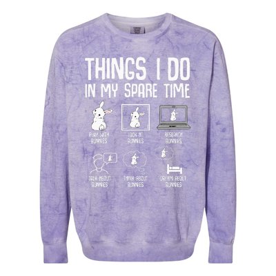 Things I Do In My Spare Time Bunny Rabbit Colorblast Crewneck Sweatshirt