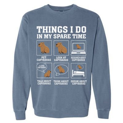 Things I Do In My Spare Time Capybara Funny Rodent Garment-Dyed Sweatshirt