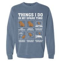 Things I Do In My Spare Time Capybara Funny Rodent Garment-Dyed Sweatshirt