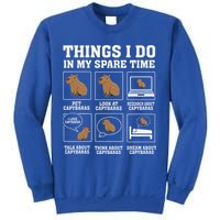 Things I Do In My Spare Time Capybara Funny Rodent Sweatshirt