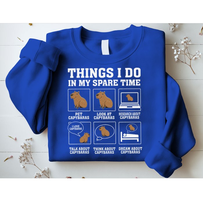 Things I Do In My Spare Time Capybara Funny Rodent Sweatshirt