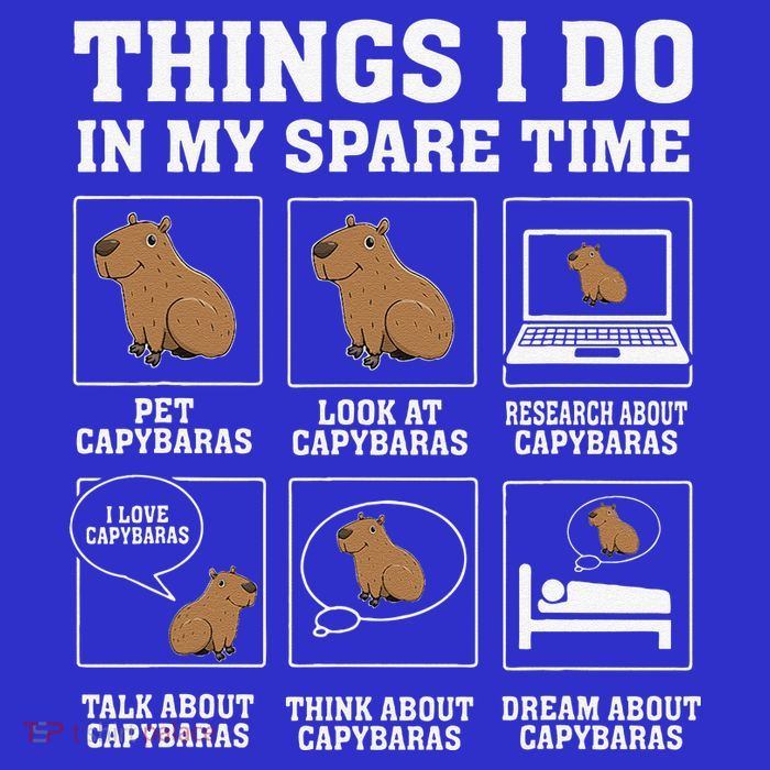 Things I Do In My Spare Time Capybara Funny Rodent Stripe Pom Pom Beanie