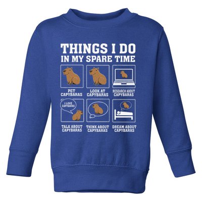 Things I Do In My Spare Time Capybara Funny Rodent Toddler Sweatshirt