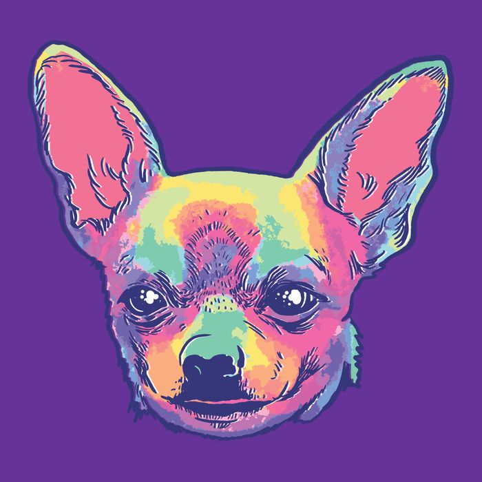 Tie Dye Chihuahua Long Sleeve Shirt