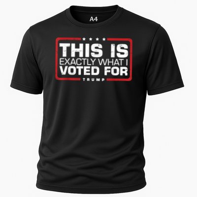 This is Exactly What I Voted For Trump Performance Shirt