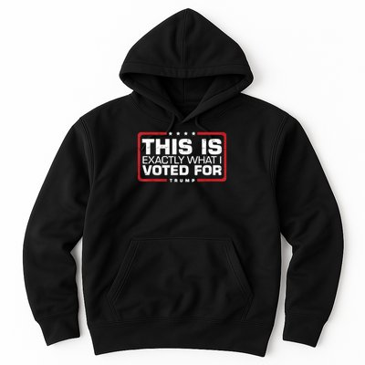 This is Exactly What I Voted For Trump Hoodie