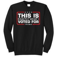 This is Exactly What I Voted For Trump Sweatshirt
