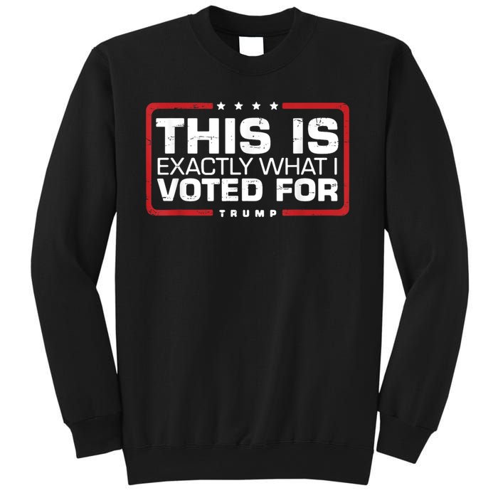 This is Exactly What I Voted For Trump Sweatshirt