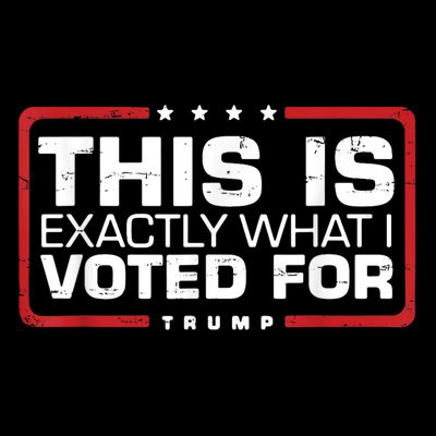 This is Exactly What I Voted For Trump T-Shirt