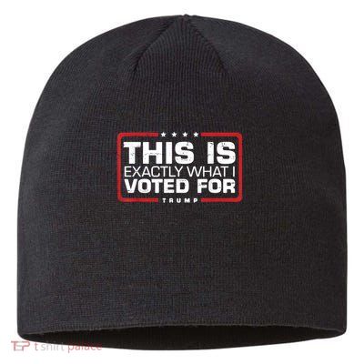 This is Exactly What I Voted For Trump Sustainable Beanie