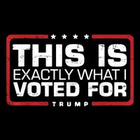 This is Exactly What I Voted For Trump 16 in Basic Backpack