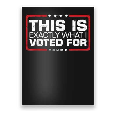 This is Exactly What I Voted For Trump Poster