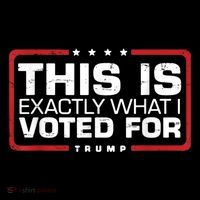 This is Exactly What I Voted For Trump Premium T-Shirt