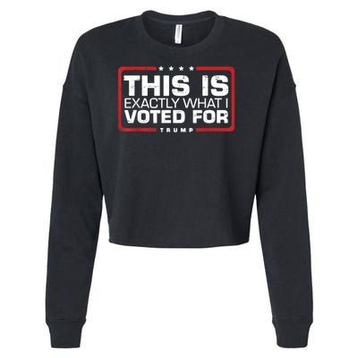This is Exactly What I Voted For Trump Cropped Pullover Crew