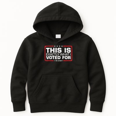This is Exactly What I Voted For Trump Kids Hoodie