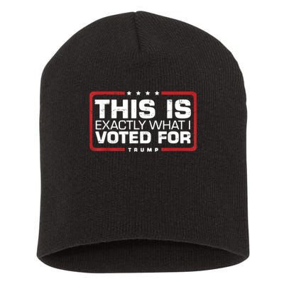 This is Exactly What I Voted For Trump Short Acrylic Beanie