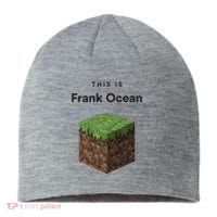 This Is Frank O.C.E.A.N Sustainable Beanie