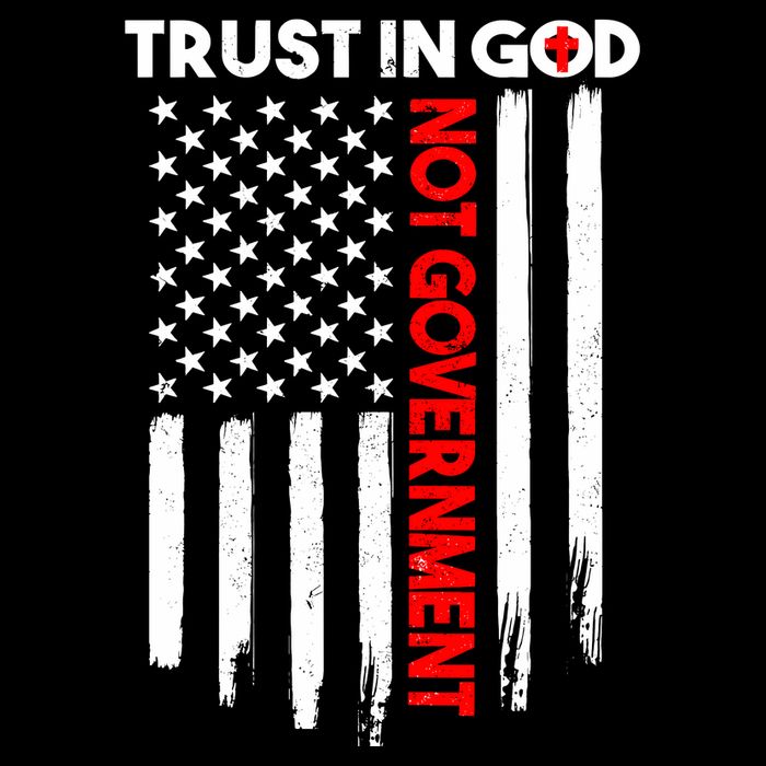 Trust In God Not The Government Patriotic Trust In God T Wool Snapback Cap