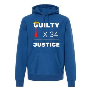 Trump Is Guilty Trump Is Guilty On 34 Counts Premium Hoodie