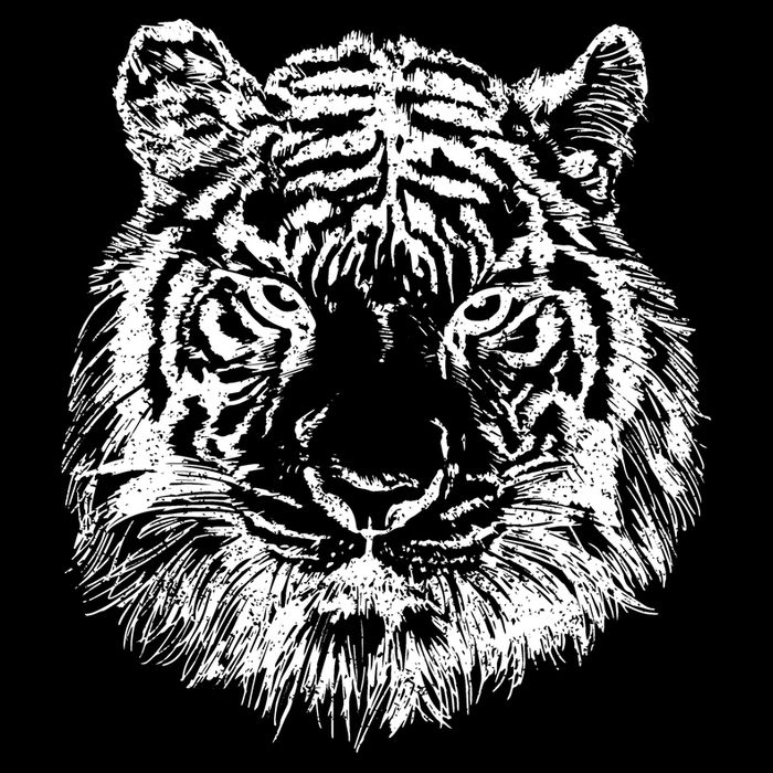 Tiger Cool Design Cropped Pullover Crew