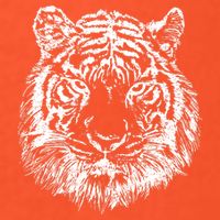 Tiger Cool Design Premium T-Shirt