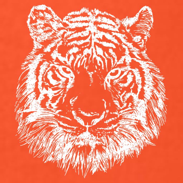 Tiger Cool Design Premium T-Shirt