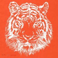 Tiger Cool Design Tie-Dye T-Shirt