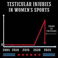 Testicular Injuries In Sports Funny Trump 16 in Basic Backpack