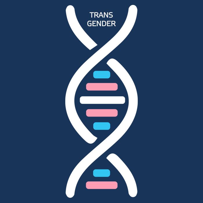 Transgender It's In My DNA Pride Month Premium T-Shirt