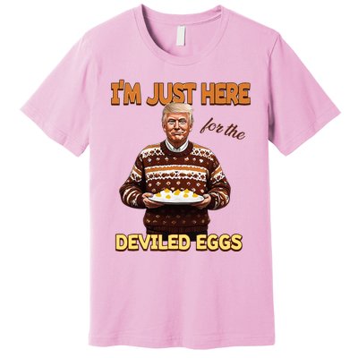 Thanksgiving IM Just Here For The Deviled Eggs Premium T-Shirt