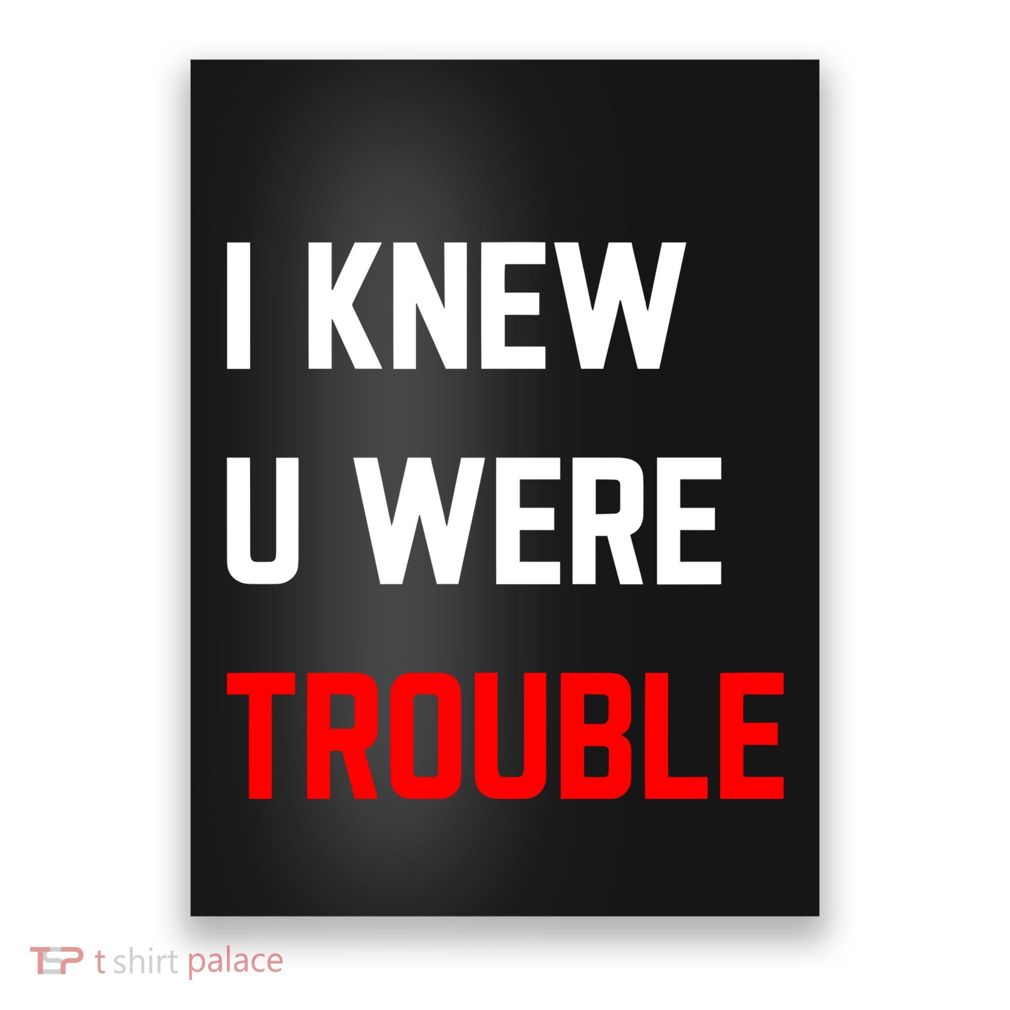 Taylor I Knew U Were Trouble Poster
