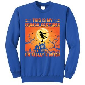 This Is My Hu Costume I Am Really A Witch Gift Sweatshirt