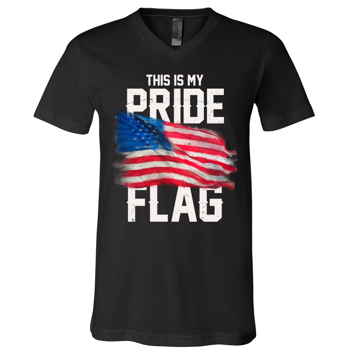 This Is My Pride Flag United States Patriot Flag V-Neck T-Shirt