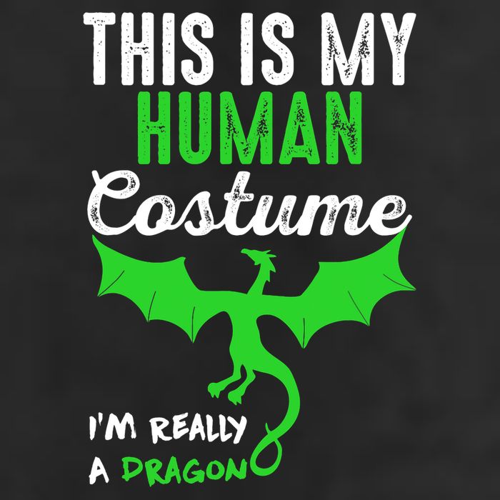 This Is My Human Costume Im Really A Dragon Halloween 7 Panel Mesh Trucker Snapback Hat