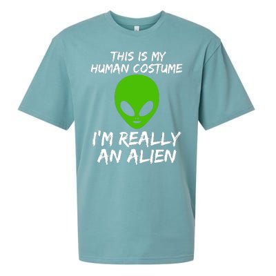 This Is My Human Costume I'm Really An Alien Sueded Cloud Jersey T-Shirt