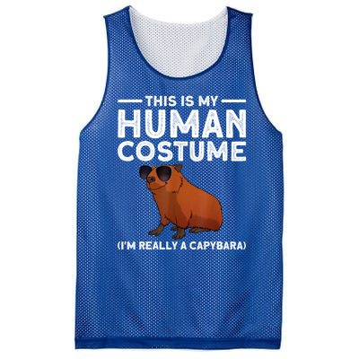 This Is My Human Costume I Am Really A Capybara Mesh Reversible Basketball Jersey Tank