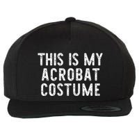 This Is My Acrobat Costume Halloween Lazy Easy Wool Snapback Cap