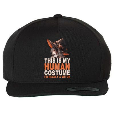This Is My Hu Costume IM Really A Witch Halloween Funny Gift Wool Snapback Cap