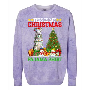 This Is My Christmas Pajamas Alaskan Malamute Dog Christmas Gift Colorblast Crewneck Sweatshirt