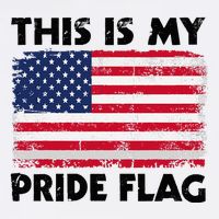This Is My Pride Flag Toddler T-Shirt