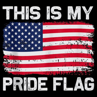 This Is My Pride Flag USA American T-Shirt