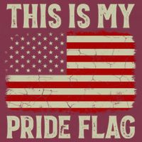 This Is My Pride Flag Patriotic American Flag, 4th of July  16oz Travel Tumbler