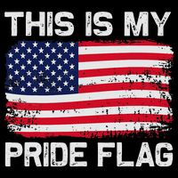 This Is My Pride Flag Youth Performance Sprint T-Shirt