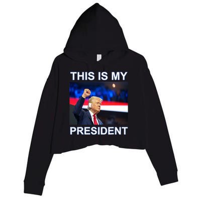 This Is My President 2024 Funny Political Quotes Crop Fleece Hoodie